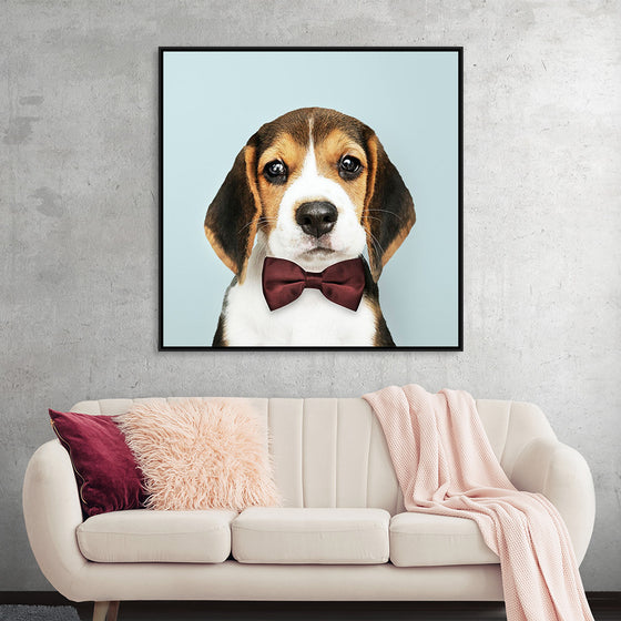 "Cute Beagle in a Dark Brown Bow Tie"