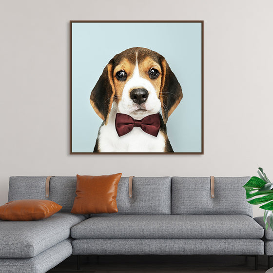 "Cute Beagle in a Dark Brown Bow Tie"