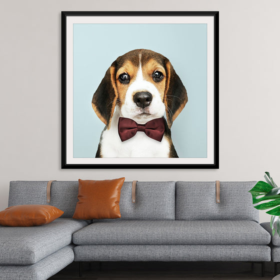 "Cute Beagle in a Dark Brown Bow Tie"