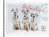 This print features three Dalmatians standing in the snow, with a vintage postcard design. The print is perfect for dog lovers and anyone who appreciates a touch of nostalgia.