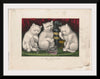 "The three jolly kittens- after the feast"