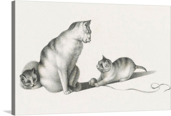 This exquisite artwork captures the serene and playful nature of three cats, each depicted with meticulous detail, showcasing their distinct personalities. The monochromatic palette enhances the timeless elegance of this piece, making it a perfect addition to any space. The soft shading and intricate textures bring these feline companions to life, evoking a sense of calm and curiosity.