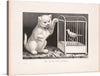 “My Kitty and Canary (1871)” by Currier & Ives is a timeless piece of art that captures the playful curiosity of a charming kitty and the serene beauty of a canary. The artwork features a white kitten reaching out towards a caged canary, both rendered in detailed grayscale tones highlighting their textures. The background is dark, which brings focus to both central figures.