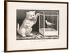 "My Kitty and Canary (1871)", Currier& Ives