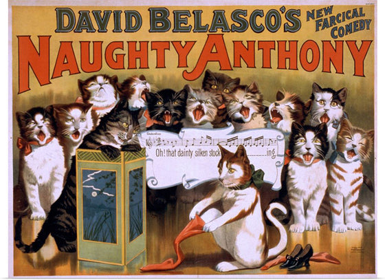 "David Belasco's New Farcical Comedy, Naughty Anthony"