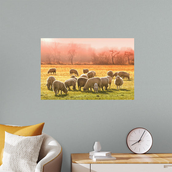 "Flock of Sheep in a Meadow"