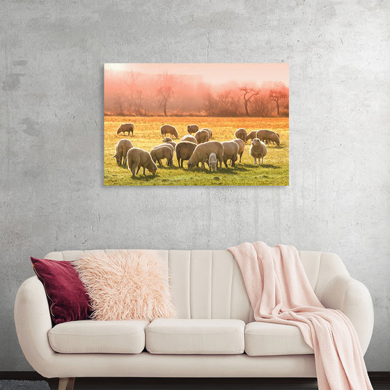 "Flock of Sheep in a Meadow"