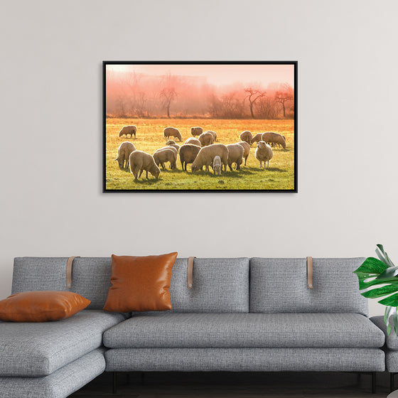 "Flock of Sheep in a Meadow"