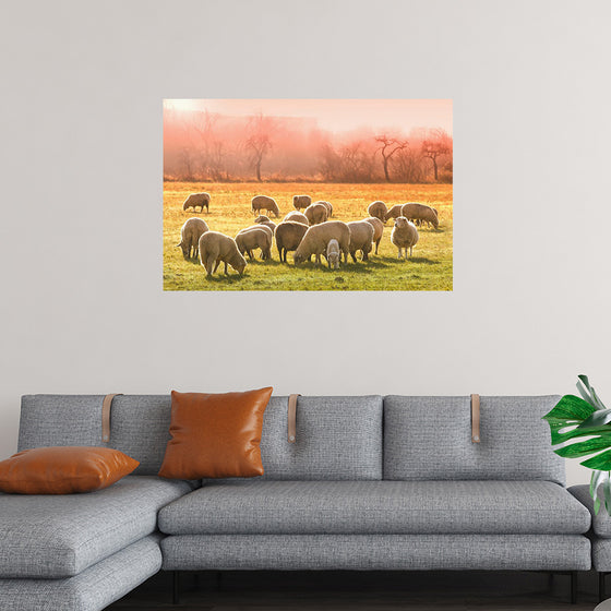 "Flock of Sheep in a Meadow"