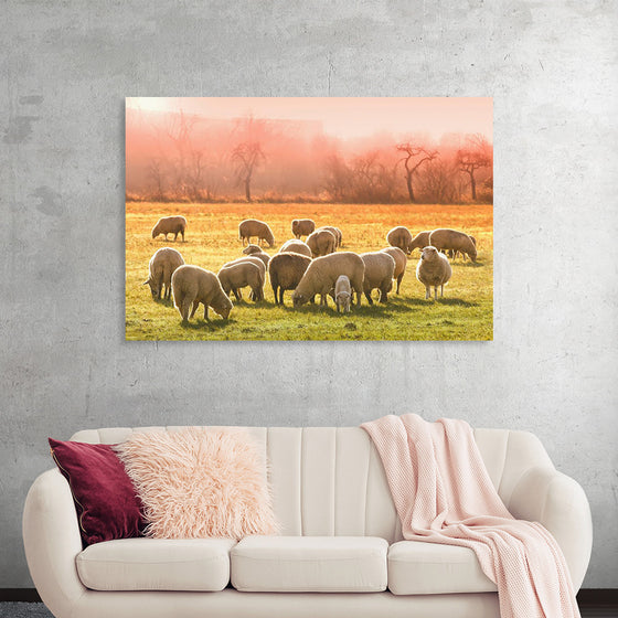 "Flock of Sheep in a Meadow"