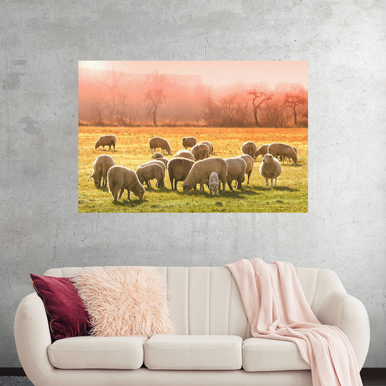 "Flock of Sheep in a Meadow"