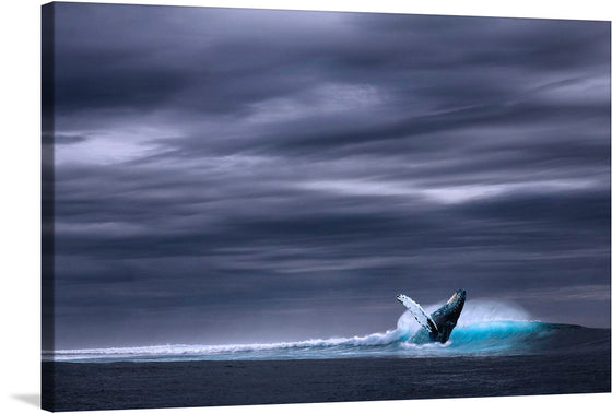 “Pretty Whale” is a mesmerizing print capturing the majestic leap of a whale amidst the tumultuous waves, set against a backdrop of an ominous sky. The artwork is highly detailed, with every intricate detail, from the glistening water droplets cascading from the whale’s tail to the intricate patterns of clouds, rendered with exquisite precision. 