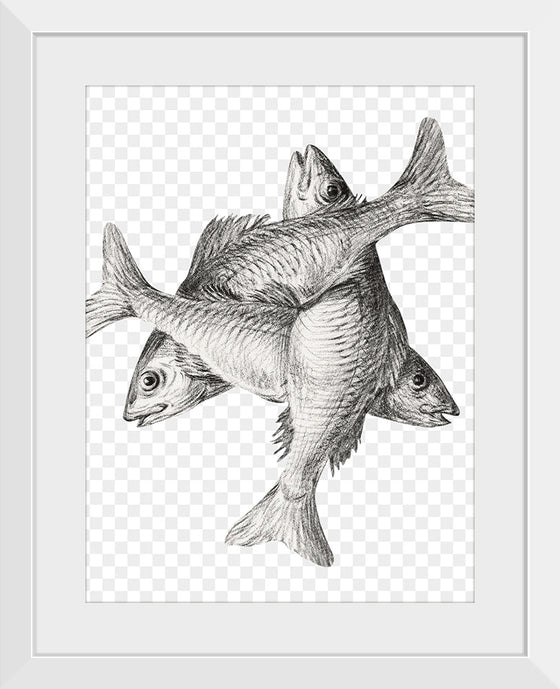 "Three fishes", Jean Bernard