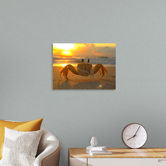 "Sunset Crab"