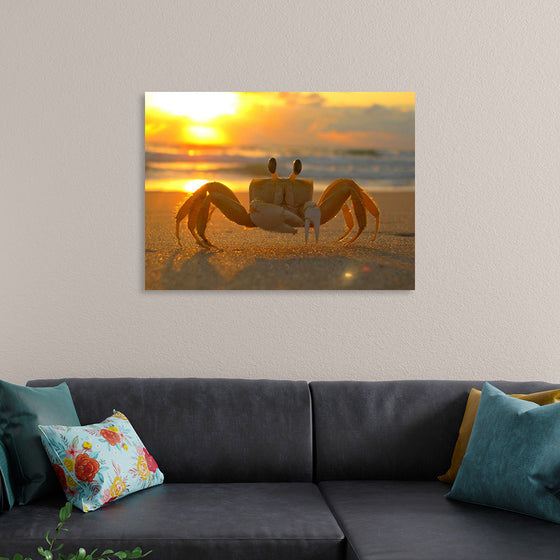 "Sunset Crab"