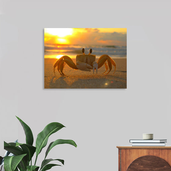 "Sunset Crab"