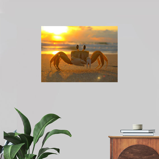 "Sunset Crab"