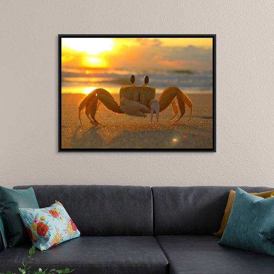 "Sunset Crab"