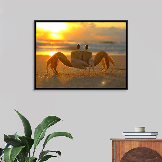 "Sunset Crab"