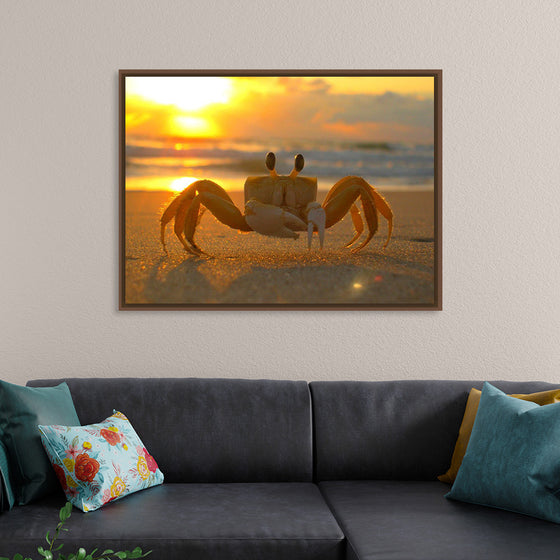 "Sunset Crab"