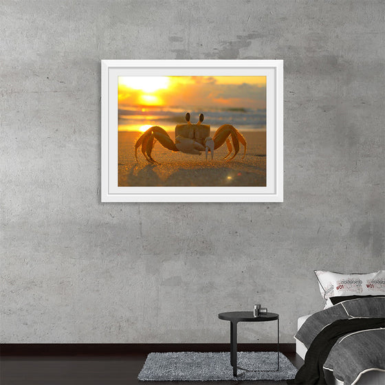 "Sunset Crab"