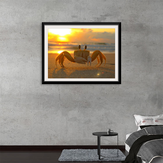 "Sunset Crab"