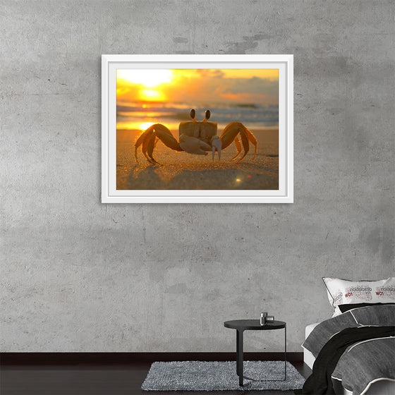 "Sunset Crab"