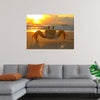 "Sunset Crab"