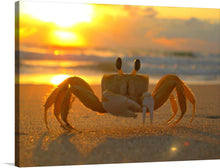  Immerse yourself in the serene beauty of a golden sunrise over the tranquil waters, captured in this exquisite print. A lone crab, majestic and full of life, stands as a sentinel to the breaking dawn, its silhouette casting an enchanting shadow on the smooth sands. Every detail, from the gentle waves to the warm hues of sunrise, is rendered with stunning clarity.