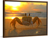 "Sunset Crab"