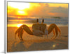 "Sunset Crab"