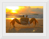 "Sunset Crab"