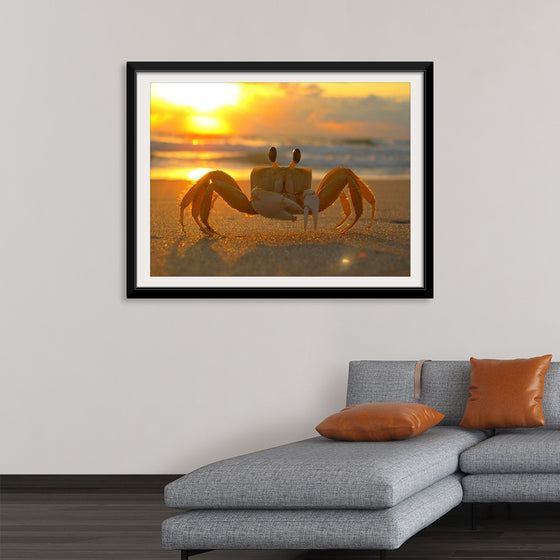 "Sunset Crab"