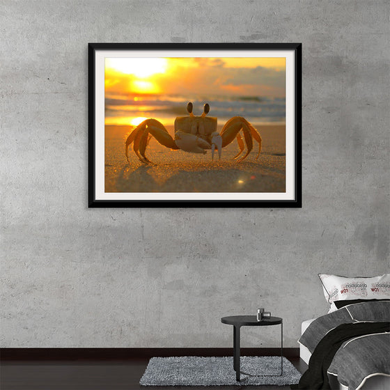 "Sunset Crab"