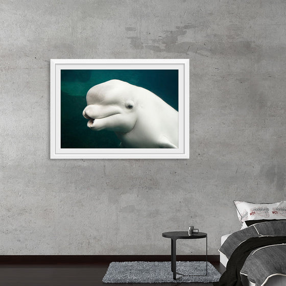 "Belua whale in an aquarium", Carol M. Highsmith