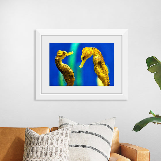 "Yellow Seahorses"