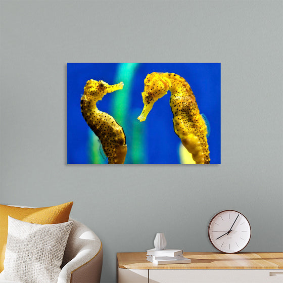 "Yellow Seahorses"
