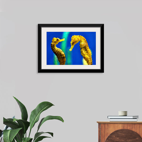 "Yellow Seahorses"