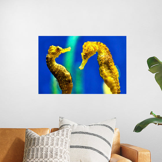 "Yellow Seahorses"