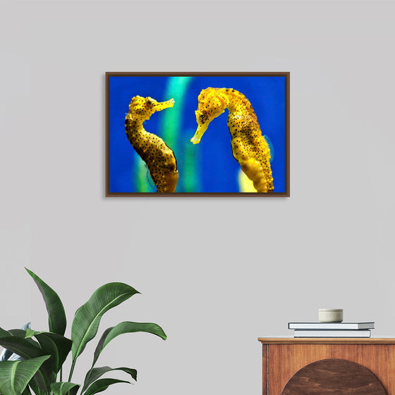 "Yellow Seahorses"