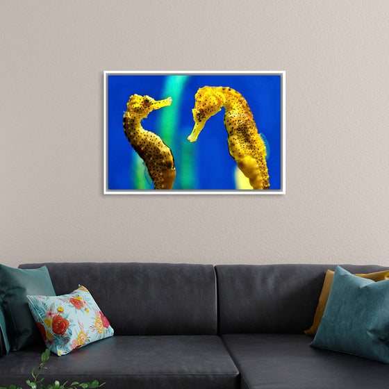 "Yellow Seahorses"