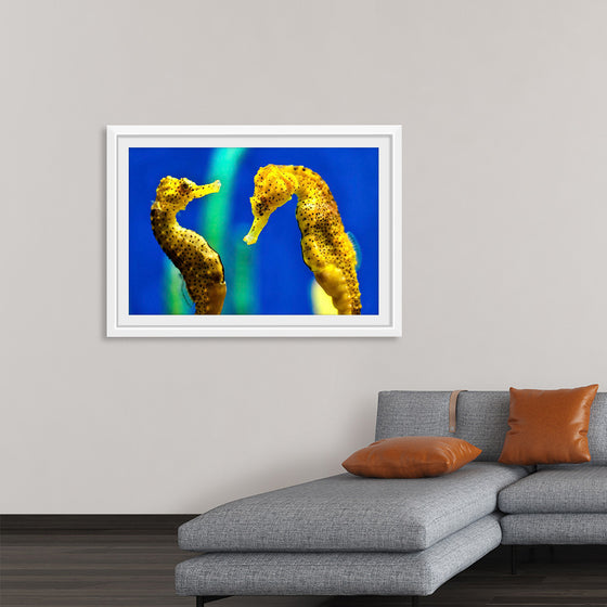 "Yellow Seahorses"