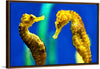 "Yellow Seahorses"