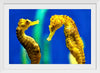 "Yellow Seahorses"