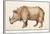 Immerse yourself in the intricate details and exquisite craftsmanship of this vintage rhinoceros artwork. Every print captures the majestic aura of this magnificent creature, showcasing its textured skin and powerful stature with an artistic finesse that breathes life into any space. This piece is a harmonious blend of natural history and artistry, making it a timeless addition to your art collection.