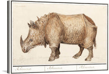  Immerse yourself in the intricate details and exquisite craftsmanship of this vintage rhinoceros artwork. Every print captures the majestic aura of this magnificent creature, showcasing its textured skin and powerful stature with an artistic finesse that breathes life into any space. This piece is a harmonious blend of natural history and artistry, making it a timeless addition to your art collection.
