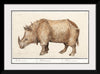 "Indian Rhinoceros, Rhinoceros Unicornis (1596–1610)", Anselmus Boëtius de Boodt