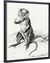 "Sitting Monkey, Eating a Fruit (1775-1883)", Jean Bernard