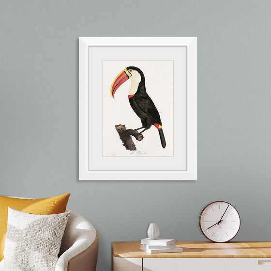 "Toucan from Histoire Naturelle des Oiseaux de Paradis et Des Rolliers (1806)", Jacques Barraband