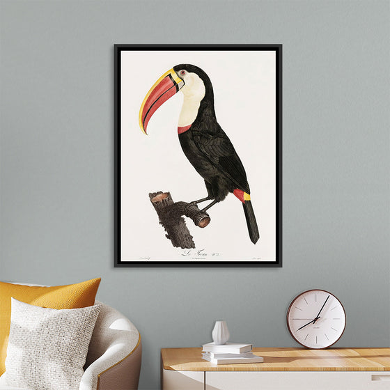 "Toucan from Histoire Naturelle des Oiseaux de Paradis et Des Rolliers (1806)", Jacques Barraband